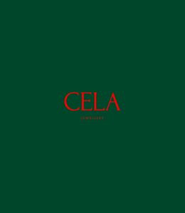 Lire la suite à propos de l’article Cela